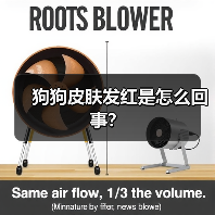狗狗皮肤发红是怎么回事?(图3) 狗狗皮肤发红是怎么回事?(图3)