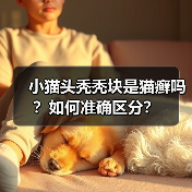 小猫头秃秃块是猫癣吗?如何准确区分?(图3) 小猫头秃秃块是猫癣吗?如何准确区分?(图3)