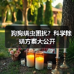 狗狗螨虫困扰?科学除螨方案大公开(图1) 狗狗螨虫困扰?科学除螨方案大公开(图1)