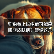 狗狗身上长疙瘩可能是哪些皮肤病?警惕这几种常见情况(图3) 狗狗身上长疙瘩可能是哪些皮肤病?警惕这几种常见情况(图3)
