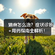 猫癣怎么治?症状诊断+用药指南全解析!(图2) 猫癣怎么治?症状诊断+用药指南全解析!(图2)