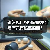 别忽视!狗狗屁股发红瘙痒竟有这些原因?(图1) 别忽视!狗狗屁股发红瘙痒竟有这些原因?(图1)