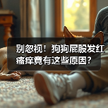 别忽视!狗狗屁股发红瘙痒竟有这些原因?(图4) 别忽视!狗狗屁股发红瘙痒竟有这些原因?(图4)