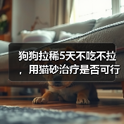 狗狗拉稀5天不吃不拉,用猫砂治疗是否可行?(探究主人在狗狗拉稀问题上使用猫砂的有效性)(图4) 狗狗拉稀5天不吃不拉,用猫砂治疗是否可行?(探究主人在狗狗拉稀问题上使用猫砂的有效性)(图4)