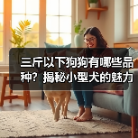 三斤以下狗狗有哪些品种?揭秘小型犬的魅力与特点(图3) 三斤以下狗狗有哪些品种?揭秘小型犬的魅力与特点(图3)