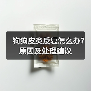 狗狗皮炎反复怎么办？原因及处理建议(图1)