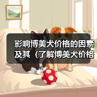 影响博美犬价格的因素及其（了解博美犬价格的关键因素，选择适合 - 辰飞雨新生家伴