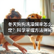 冬天狗狗洗澡频率怎么定?科学掌握方法揭秘(图3) 冬天狗狗洗澡频率怎么定?科学掌握方法揭秘(图3)