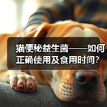 猫便秘益生菌——如何正确使用及食用时间?(解决猫咪便秘问题的关键步骤与时间节点)(图4) 猫便秘益生菌——如何正确使用及食用时间?(解决猫咪便秘问题的关键步骤与时间节点)(图4)