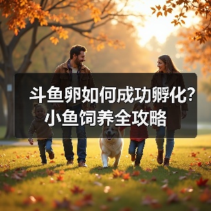 斗鱼卵如何成功孵化？小鱼饲养全攻略 - 辰飞雨新生家伴