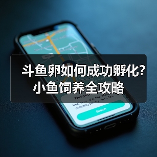 斗鱼卵如何成功孵化？小鱼饲养全攻略(图4)