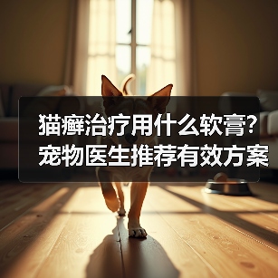 猫癣治疗用什么软膏?宠物医生推荐有效方案(图2) 猫癣治疗用什么软膏?宠物医生推荐有效方案(图2)