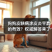 狗狗皮肤病涂皮炎平真的有效?权威解答来了(图2) 狗狗皮肤病涂皮炎平真的有效?权威解答来了(图2)