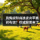 狗狗皮肤病涂皮炎平真的有效?权威解答来了(图1) 狗狗皮肤病涂皮炎平真的有效?权威解答来了(图1)