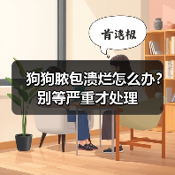 狗狗脓包溃烂怎么办？别等严重才处理