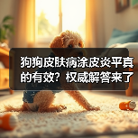 狗狗皮肤病涂皮炎平真的有效?权威解答来了(图4) 狗狗皮肤病涂皮炎平真的有效?权威解答来了(图4)
