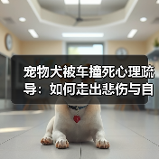 宠物犬被车撞死心理疏导:如何走出悲伤与自责(图1) 宠物犬被车撞死心理疏导:如何走出悲伤与自责(图1)