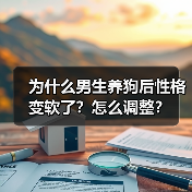为什么男生养狗后性格变软了？怎么调整？