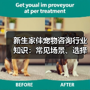 新生家伴宠物咨询行业知识:常见场景、选择要点和注意事项(图2) 新生家伴宠物咨询行业知识:常见场景、选择要点和注意事项(图2)