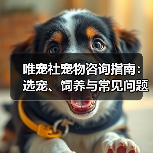 唯宠社宠物咨询指南：选宠、饲养与常见问题全解析2026(图1)