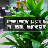 唯宠社宠物百科实用指南:选购、维护与常见问题解析(图2) 唯宠社宠物百科实用指南:选购、维护与常见问题解析(图2)