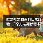 唯宠社宠物百科日常经验:5个方法判断需求与维护(图1) 唯宠社宠物百科日常经验:5个方法判断需求与维护(图1)
