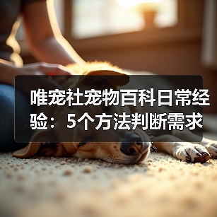 唯宠社宠物百科日常经验:5个方法判断需求与维护(图3) 唯宠社宠物百科日常经验:5个方法判断需求与维护(图3)