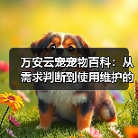 万安云宠宠物百科:从需求判断到使用维护的日常经验(图2) 万安云宠宠物百科:从需求判断到使用维护的日常经验(图2)