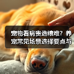宠物看病贵选粮难？养宠常见场景选择要点与