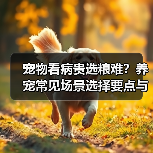宠物看病贵选粮难?养宠常见场景选择要点与注意事项(图3) 宠物看病贵选粮难?养宠常见场景选择要点与注意事项(图3)