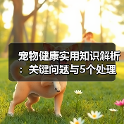 宠物健康实用知识解析:关键问题与5个处理方法(图1) 宠物健康实用知识解析:关键问题与5个处理方法(图1)
