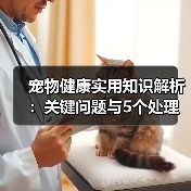 宠物健康实用知识解析:关键问题与5个处理方法(图3) 宠物健康实用知识解析:关键问题与5个处理方法(图3)