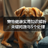 宠物健康实用知识解析:关键问题与5个处理方法(图4) 宠物健康实用知识解析:关键问题与5个处理方法(图4)