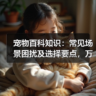 宠物百科知识：常见场景困扰及选择要点，万