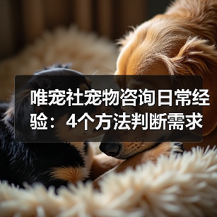 唯宠社宠物咨询日常经验:4个方法判断需求到使用维护(图4) 唯宠社宠物咨询日常经验:4个方法判断需求到使用维护(图4)