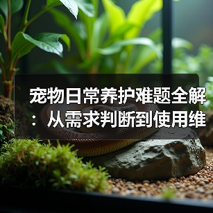 宠物日常养护难题全解:从需求判断到使用维护的实用经验(图1) 宠物日常养护难题全解:从需求判断到使用维护的实用经验(图1)