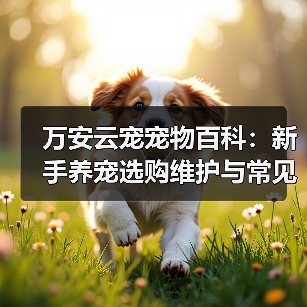 万安云宠宠物百科:新手养宠选购维护与常见问题指南2026(图2) 万安云宠宠物百科:新手养宠选购维护与常见问题指南2026(图2)