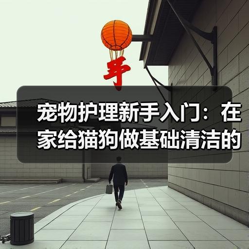 宠物护理新手入门：在家给猫狗做基础清洁的完整步骤 - 辰飞雨新生家伴