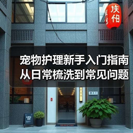 宠物护理新手入门指南 从日常梳洗到常见问