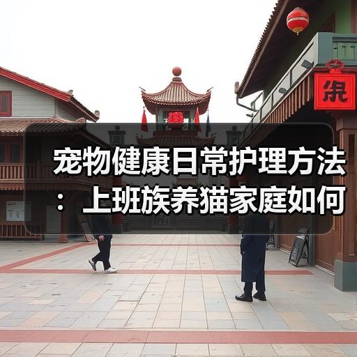 宠物健康日常护理方法：上班族养猫家庭如何安排喂食与体检 - 辰飞雨新生家伴