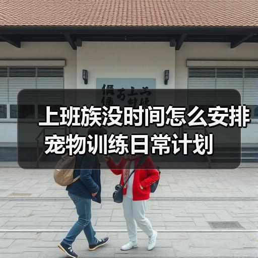 上班族没时间怎么安排宠物训练日常计划 - 辰飞雨新生家伴